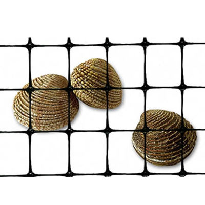 40-40kn PP-Biaxial-Plastik-Geogrid für Straßenbau und Fundamentverstärkung