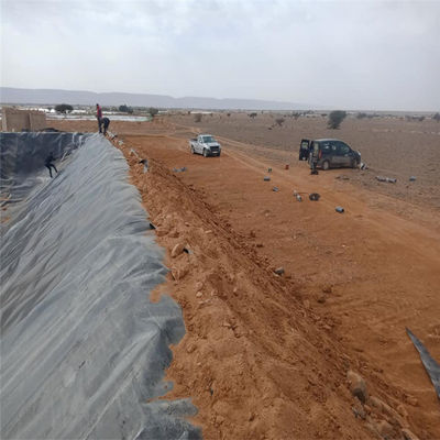 Geomembran im Stil des industriellen Designs Glatte Dam Liner für untere 1,5 mm HDPE Geomembran