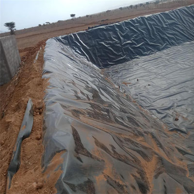 Geomembran im Stil des industriellen Designs Glatte Dam Liner für untere 1,5 mm HDPE Geomembran