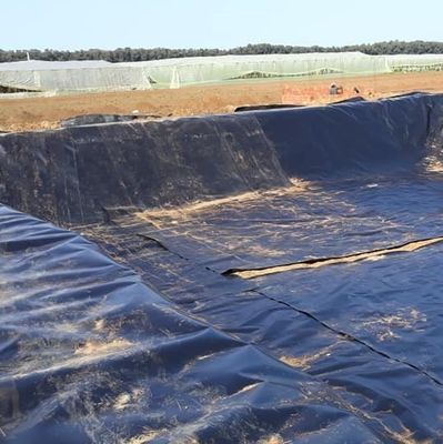 Langlebige Geomembran aus HDPE für die Auskleidung von Teichen im asiatischen Design in anderen Regionen