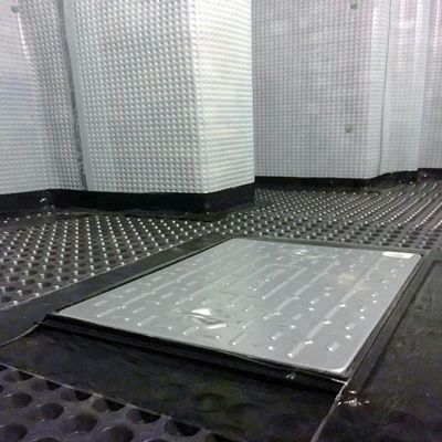 Biaxial Polyester Geogrid 80-80 PET zur Verfestigung von Straßenbecken