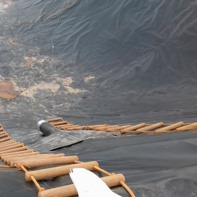 LDPE LLDPE HDPE Plastikfischbecken Wasserdichtungsmembran 0,5 mm HDPE Geomembranblatt m2