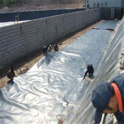 0.2 mm HDPE-Geomembran Wasserdichte Plane Liners für Biofloc-Fischzuchtbecken
