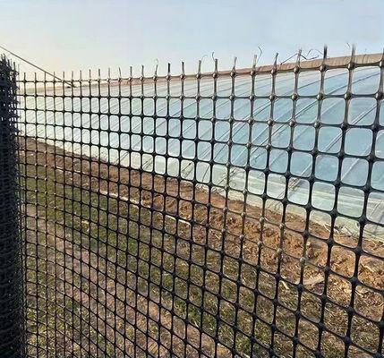 Straßenverstärkung Biaxial Geogrid mit und Zugfestigkeit im chinesischen Design Stil