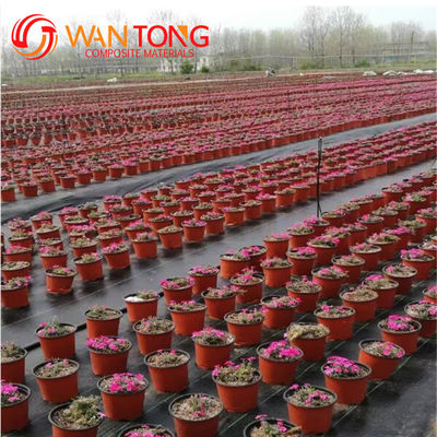 200G/M2 UV-dichte Gartenweedung PP Geotextil für Bodenbelag und Bauwesen