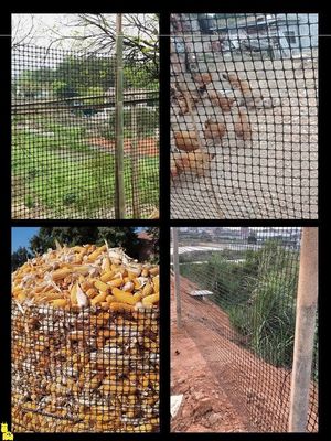CE/ISO9001-zertifizierter Hühner- und Gänsezuchtzaun mit verstärktem Biaxial-Geogrid