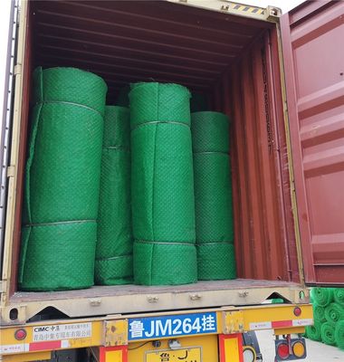 s HDPE PP 3D Geomat Die beste Lösung für Abfallschutz und Drainage