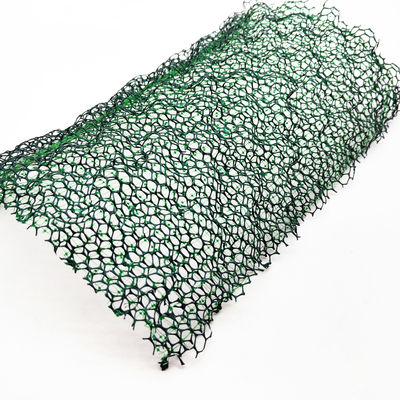 10 mm Dicke EM2 Rasenverstärkung/Grasschutz Geomat für modernes Design