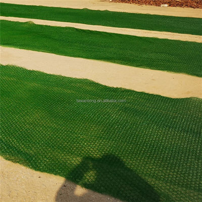 2m Breite Kunststoff Geomat Die Wahl für Landschafts- oder Hangschutz EM2 3D Green Mat