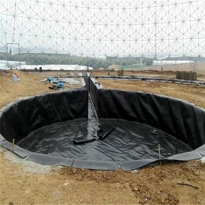 HDPE-Wasserdichtes Geomembran Glatte Wasserabdichtung für HDPE-Fischbecken