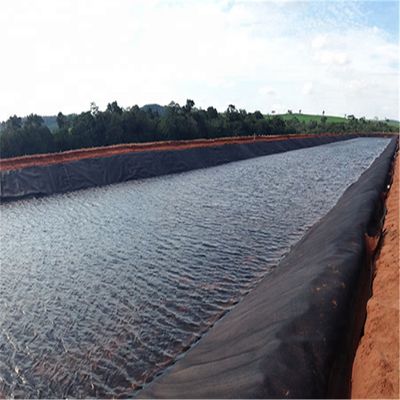 HDPE-Wasserdichtes Geomembran Glatte Wasserabdichtung für HDPE-Fischbecken