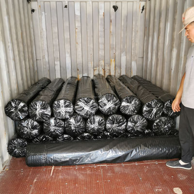 50-50kn Polyester-Geogrid/PET-Geogrid zur Verstärkung von Flussufern