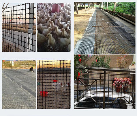 Polypropylenmaterial 15kn Farm Fence Mesh Geogrid für landwirtschaftliche Anwendungen