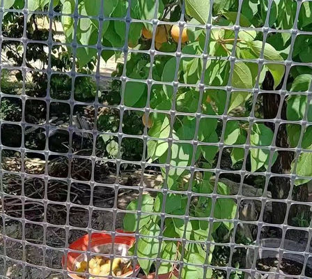 Polypropylenmaterial 15kn Farm Fence Mesh Geogrid für landwirtschaftliche Anwendungen