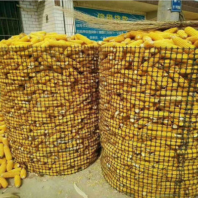 Polypropylenmaterial 15kn Farm Fence Mesh Geogrid für landwirtschaftliche Anwendungen