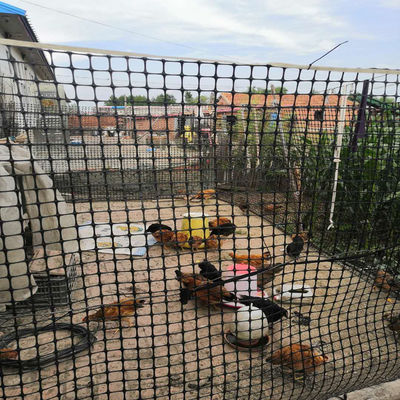 Schwarzes zweiseitiges Geogrid-Plastiknetz für Hühner- und Entenhäuser in Lagerhallen