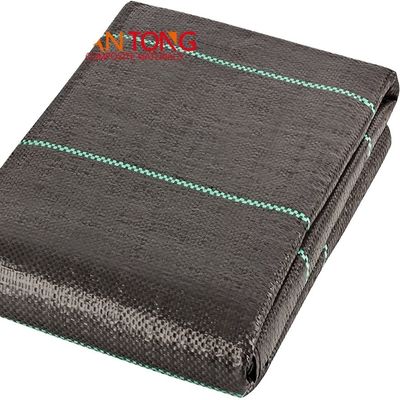 Design-Stil Grüne Linie Schwarz Kunststoff PP Gewebe Geotextil Anti-Unkraut Matte für Landschaft