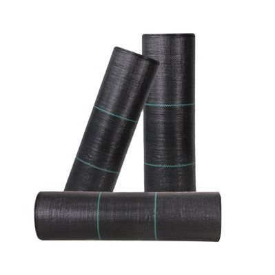 PP hohe Zugfestigkeit 70GSM-400GSM Geotextil aus Gewebe zur Bekämpfung von Unkraut aus Blaubeeren