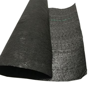 PP hohe Zugfestigkeit 70GSM-400GSM Geotextil aus Gewebe zur Bekämpfung von Unkraut aus Blaubeeren