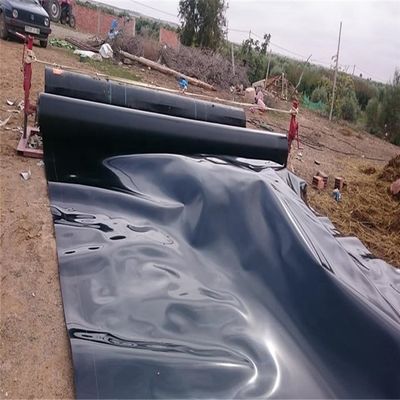 Chinesisches Design 1,0 mm Dicke Geomembran für glatte Staudämme