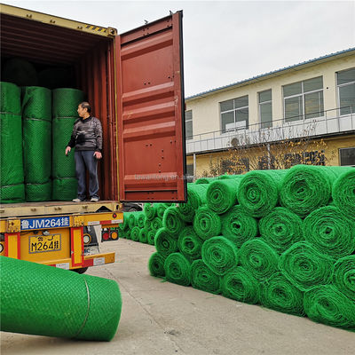 CE/ISO9001/ISO14001 zertifizierter HDPE 3D-Geomat für dreidimensionales Kunststoffrasengitter