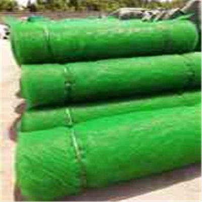 HDPE PP Erosionskontrolle 3D Vegetative Abdeckung Geomat