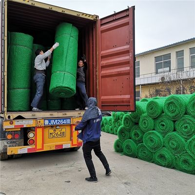 Chinesische 3D-HDPE-Geomat-Erosionskontrollmatte zum Schutz von Steilungen Em2 Em3 Em4 Em5
