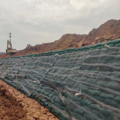 50m Kunststoff-Geogrid für PP-Polypropylen-HDPE-Ein-Achsen-Leistung