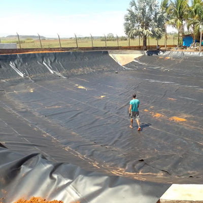 0.75mm blaue HDPE-Geomembran für Garnelenbecken und Fischzucht zu erschwinglichen Kosten