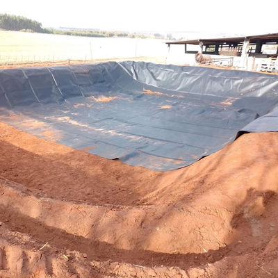 Shandong HDPE Geomembran 0,5 mm für Teich Liner Fischfarmen Pound Pool Deponien
