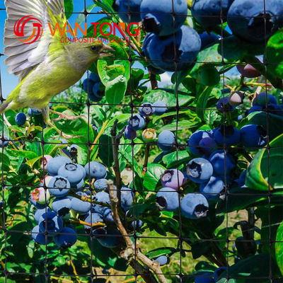 PP/HDPE Plastiknetzgartennetz halten Sie Ihre Gemüse sicher und gesund mit HDPE PP