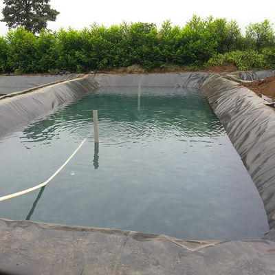GB/ASTM GRI-GM13 Standard-HDPE-Geomembran-Liner für Wasserdichtungsmaterial für die Fischzucht