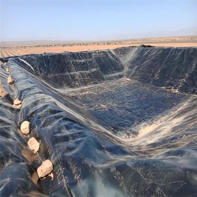 Chinesische Design-Stil Wasser Teich Kunststoff Polyethylen Geomembran Liner für Fisch Teich