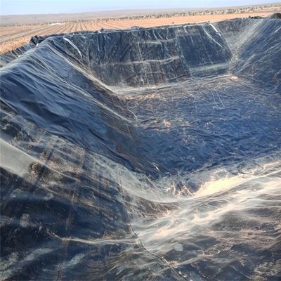 Chinesische Design-Stil Wasser Teich Kunststoff Polyethylen Geomembran Liner für Fisch Teich