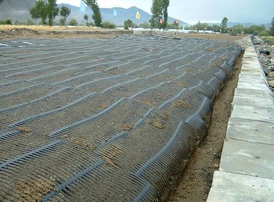 PP/HDPE einsachsige Kunststoff-Geogrid für hochfeste Stützwand CE/ISO9001 genehmigt
