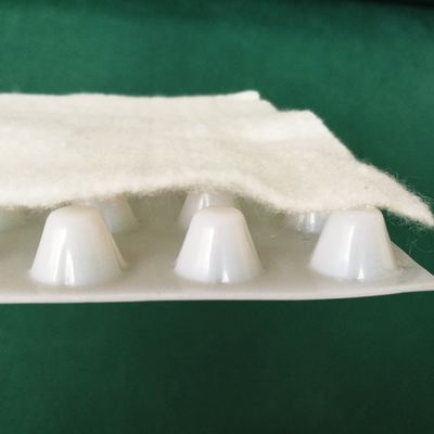 Hotel-Abwasserbrett mit Geotextil HDPE-Gipfel-Verbundwerkzeug CE/ISO/ISO14001 zertifiziert