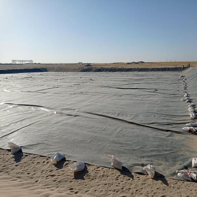HDPE-Geomembran für Fisch-Garnelen-Teich in Indonesien 1 mm Dicke Dauerstoff