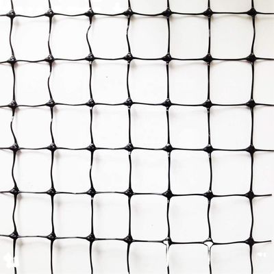 1.5cm Mesh 27gsm PP Anti-Vogelnetz für Trauben oder Obstbäume
