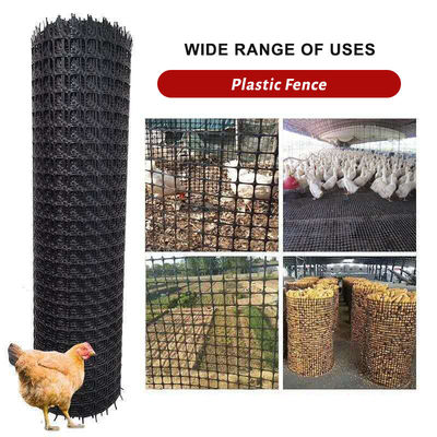 Auffahrt Biaxial Mesh Geogrid mit 15KN 20KN 25KN 30KN 40KN Polypropylen Plastik PP