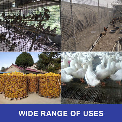 Auffahrt Biaxial Mesh Geogrid mit 15KN 20KN 25KN 30KN 40KN Polypropylen Plastik PP