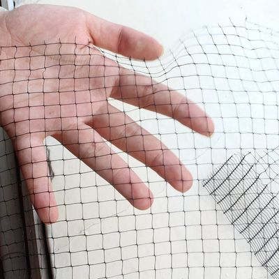 CE-ISO-zertifizierte schwere Vögelnetznetznetz für Gartengärten