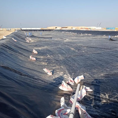 2m-8m Breite HDPE-Dammverkleidungen 1mm Geomembranverkleidung für Aquakultur Fischfarmen Verkauf