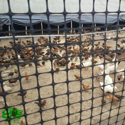 Kunststoff-PP-Biaxial-Geogrid 3030 Chinesische Konstruktion für Bauwesen