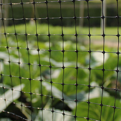 Personalisierte Länge PP Landwirtschaftsposten Gartenbau Bop Gartennetz Hirschen Kaninchenmaschzaun CE ISO