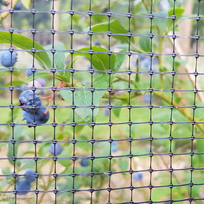 Personalisierte Länge PP Landwirtschaftsposten Gartenbau Bop Gartennetz Hirschen Kaninchenmaschzaun CE ISO