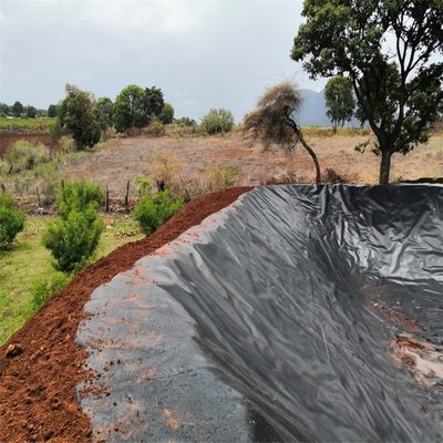 Geomembran aus HDPE im chinesischen Design für die Aquakultur