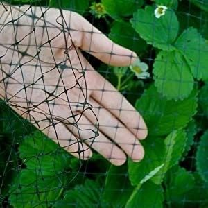UV-behandeltes PP-Vogelnetz für Hühnerzucht und Gartenfischbecken