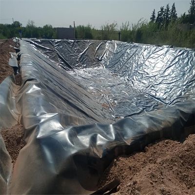 Rohflächen-HDPE-Geomembran-Werkstatt 1,0 mm Filmblasen für wasserdichte Staudämme