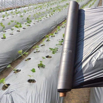 Silber-Kunststoff-Mulchfolie für den landwirtschaftlichen Anbau von Tomaten und Kartoffeln