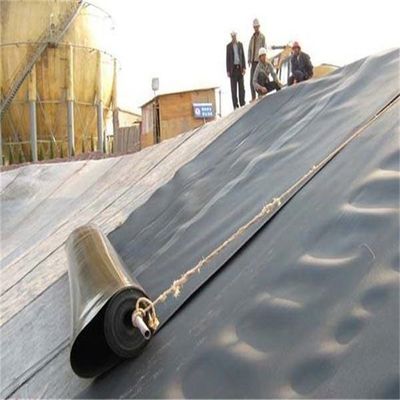 Schwarze Plastikfolie, Wasserdichtung für Teiche, HDPE-Geomembran 0,2 mm/0,5 mm/1,0 mm/2,0 mm
